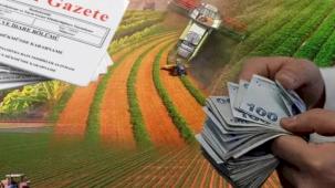 Hazine destekli kredilerde yeni dönem... Çiftçi ve esnafa kredi şartları yenilendi