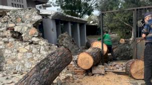 Muğla Milas'ta şiddetli fırtına sonrası anında müdahale