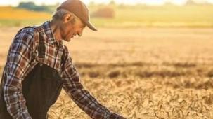 2025’te tarım işçilerinin günlük ücretleri arttı