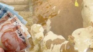 Çiftçilere 10,7 milyar TL tarımsal destek ödemesi yapılacak