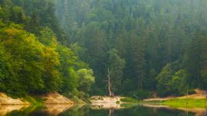 Milli parklar ve doğa korumada yeni dönem... Kanun teklifi TBMM'de kabul edildi