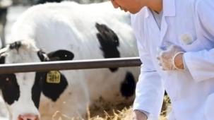 Tarımsal en yüksek girdi veteriner harcamaları zirvedeki yerini koruyor