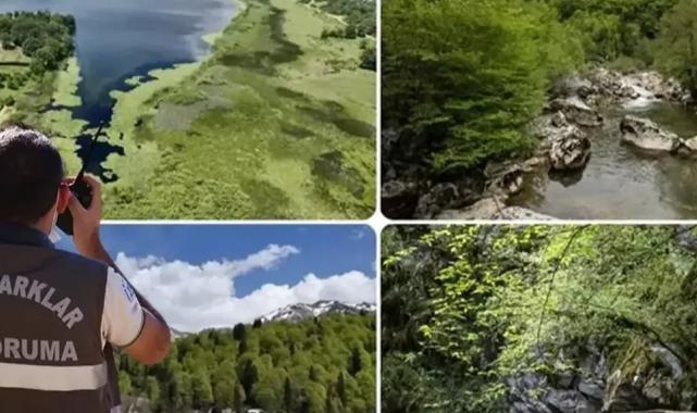 Doğa Koruma ve Milli Parklar Uzmanlığı için 'tez' zorunluluğu