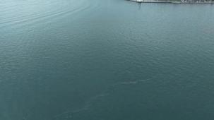 İzmir Körfezi’nde dış kaynaklı kirliliğin önüne geçilemiyor