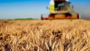 Kırsal kalkınmaya büyük destek... Tarım ve Orman'dan 30 milyon TL’ye kadar hibe!