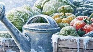 Kocaeli'de üreticilere 'zirai don' uyarısı