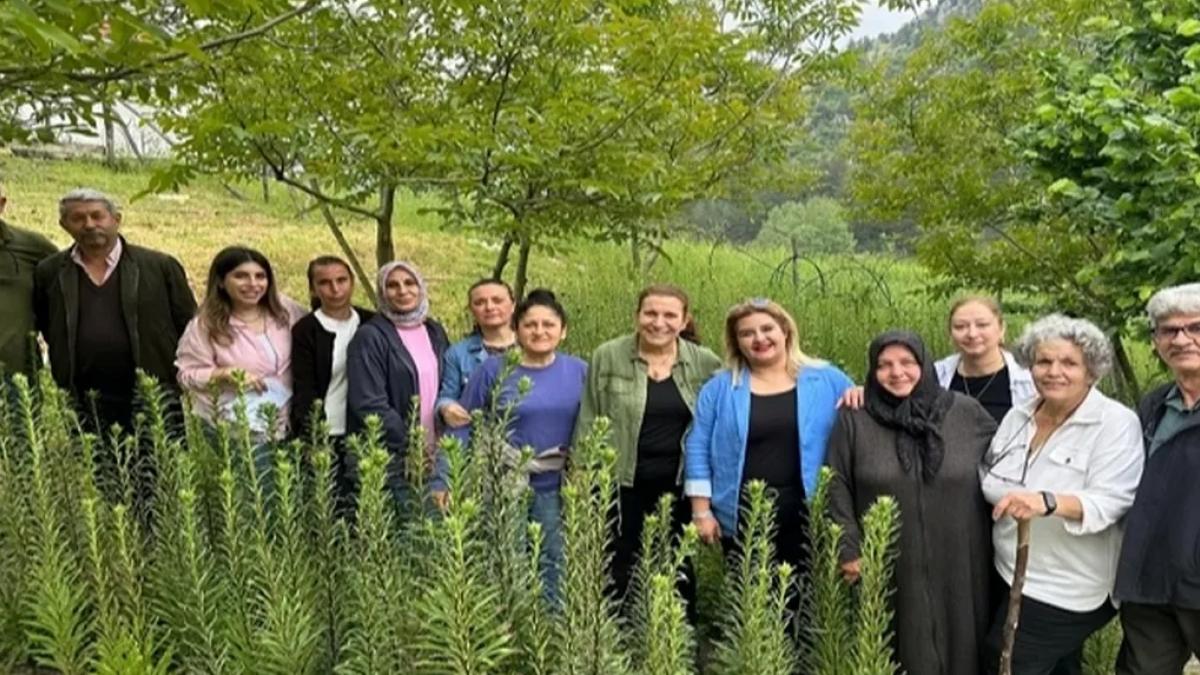 Ak Zambaklar gelişiyor, kadınlar güçleniyor