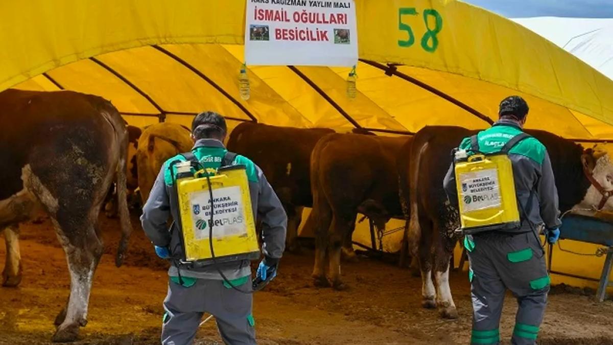Başkent'te kurban alanlarına sıkı denetim