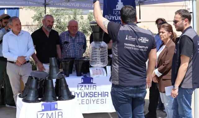 İzmir'de kahverengi kokarca böceğine karşı tuzak