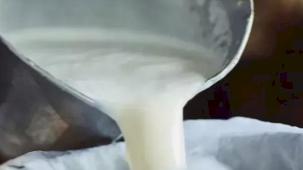 Çiğ süt üretimi 2025’te geriledi! Manda ve keçi sütü sert düştü!