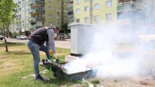 Diyarbakır ilçelerinde haşereyle mücadele aralıksız sürüyor