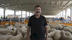 TÜRKYED'den kurbanlık uyarılar!