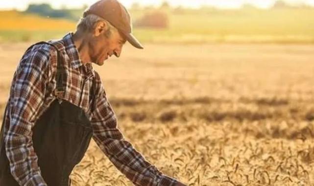 Tarım ürünlerinde fiyat artışı sürüyor... Tarım-ÜFE yıllık yüzde 42,53 yükseldi