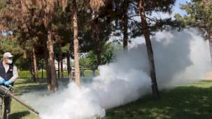 Belediyeden haşereye karşı seferberlik