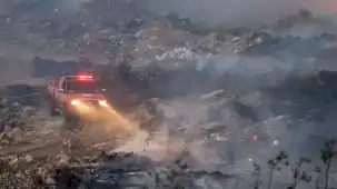 İzmir'de Çandarlı yangını kontrol altına alındı