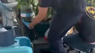 Jandarma’dan 5 ilde uyuşturucuya 341 gözaltı