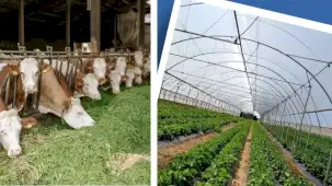 Kırsal Kalkınma Yatırım Programı başvuruları 3 Temmuz’a uzatıldı
