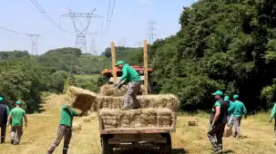 Ormanya kendi yemini kendi üretiyor