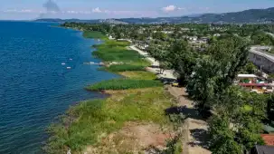 Sapanca Gölü kıyısı şimdi tertemiz... Zehirli sazlıklar gitti!
