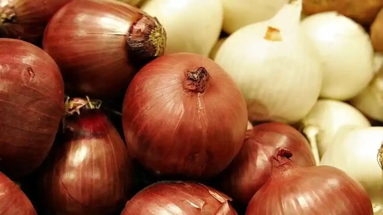 Kuru soğanda gümrük geçici yüzde 5’e indirildi