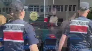 9 ilde 73 'siber' gözaltı! 2,3 milyar liralık hesap hareketi tespit edildi