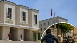 Halfeti'deki köpek saldırısıyla ilgili Mülkiye Müfettişi görevlendirildi