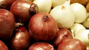 Kuru soğanda gümrük geçici yüzde 5’e indirildi