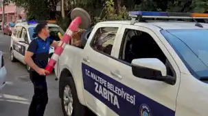 Maltepe’de kapsamlı kaldırım işgali denetimi