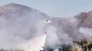 Muğla Milas'taki yangın büyük ölçüde kontrol altında