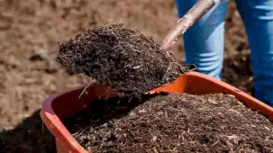Tarımsal girdi verileri açıklandı... Gübre zam şampiyonu oldu