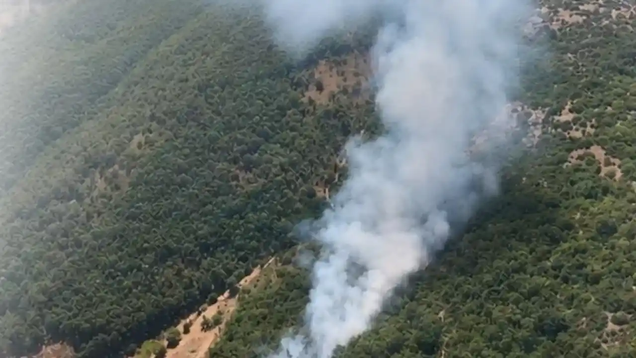 Bursa Kestel ve Harmancık'ta orman yangını... Havadan ve karadan müdahale sürüyor