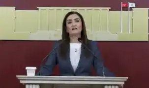 CHP Grup Başkanvekili Kılıç’tan 'silahsızlanma' vurgusu
