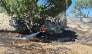 Muğla’da yangınların acı bilançosu! Her 10 yangından 7’si insan kaynaklı