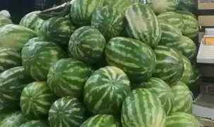 Tarım ürünlerinde üretici fiyatları artışta... En yüksek artış kavun-karpuzda