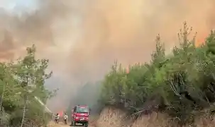 Yeşil Vatan'ı korumaya devam! O yangınlarda 3 ayda 69 şüpheliden 15'i tutuklandı