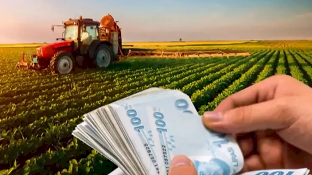 1,3 milyar TL'lik tarımsal destek ödemeleri hesaplarda