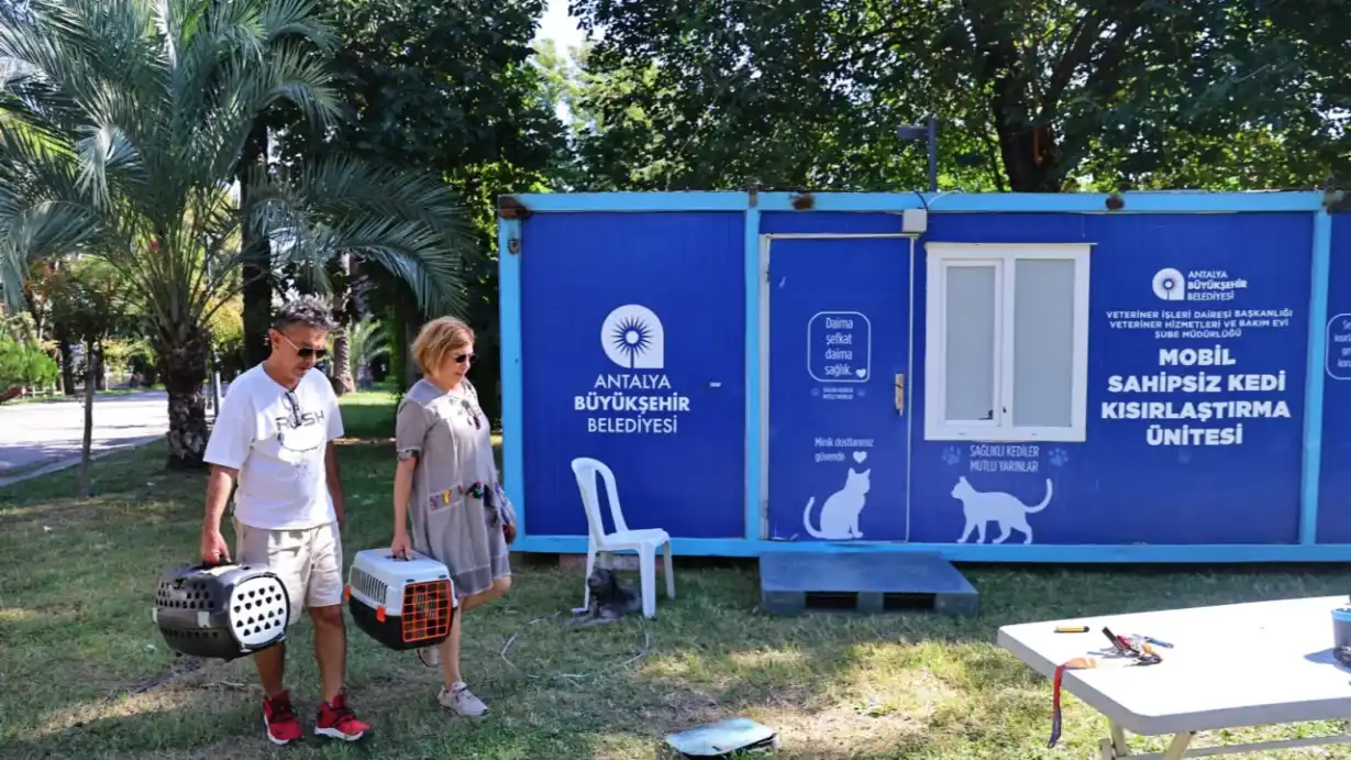 Antalya'da sahipsiz kedilere kısırlaştırma hizmeti