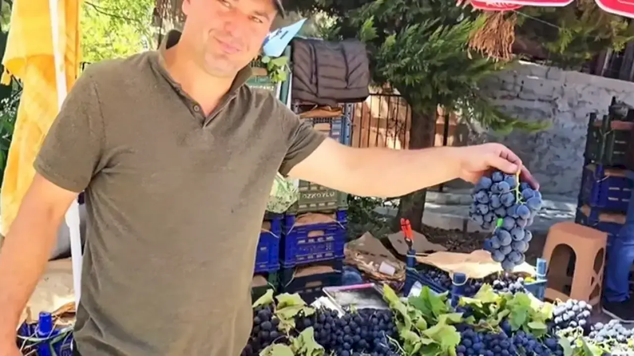 Kavacık üzüm festivali coşkuyla kutlandı