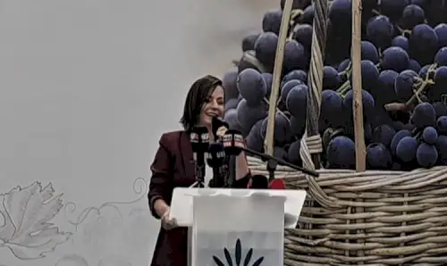Kavacık üzüm festivali coşkuyla kutlandı
