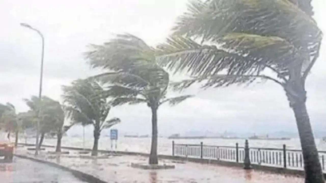 Meteoroloji'den yağış ve rüzgar uyarısı