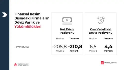 döviz açığı Reel sektörün<a class=