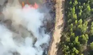 Antalya Serik’te orman yangını