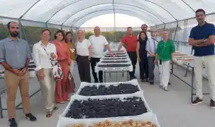 Aydın’da Avrupa Kuru Meyve İşbirliği Patlaması!