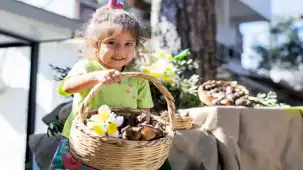 İzmir Karaburun üreticisine 300 bin nergis desteği