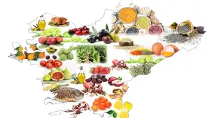 İzmir ve Ege ihracatta rekor kırdı