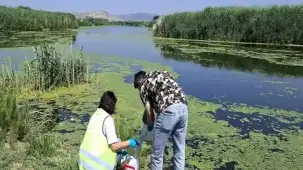 İzmir ve Manisa'da Gediz kirliliği arttı