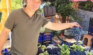 Kavacık üzüm festivali coşkuyla kutlandı