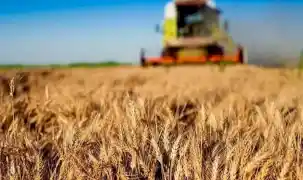 Kırsala 12,5 milyar liralık dev hibe desteği
