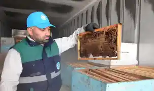 Manisa’da arıcıların petekleri eksi 30’da korunuyor