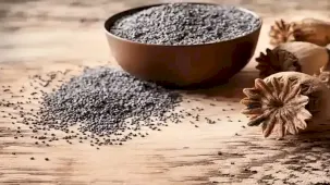 Haşhaş alım fiyatları belli oldu... Başvurular 30 Ekim’de sona erecek
